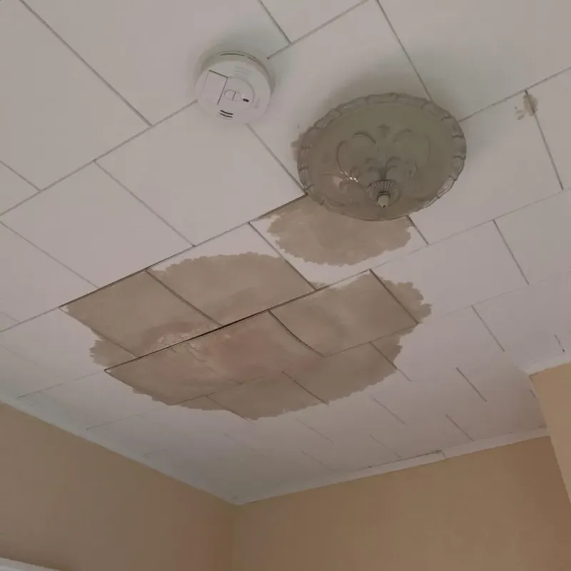 Ceiling Water Damage Repair in Lanham-Seabrook, MD